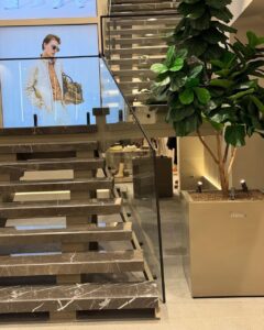 سنگ پله لاشتر - تصویر 2